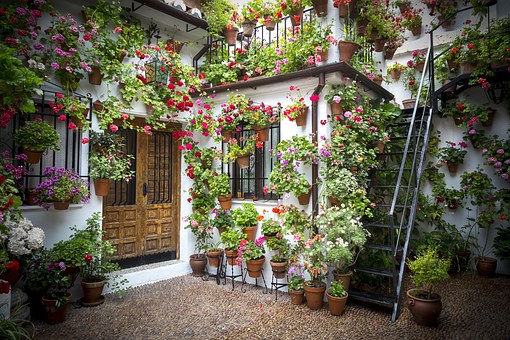 Are You Looking For A Cooking In Spain Adventure? by:Rudy Silva