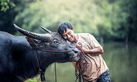 Visiting Thailand's North Provinces by:Richard Mylar