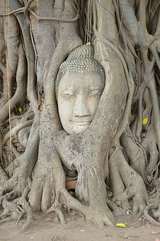 Indigenous Tour in Vietnam