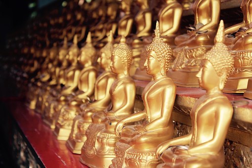 The Thai Experience