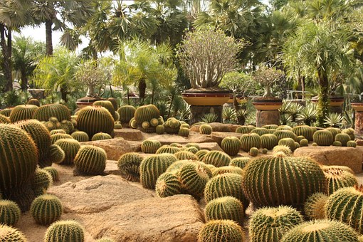 Travel Of Centuries In Thailand