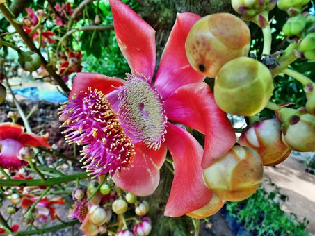 9 Things To Do In The Paradise Known As Maui, Hawaii by:Jeff Schuman