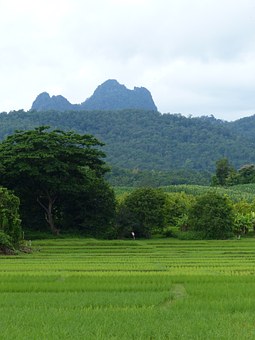 Finding A Thailand Travel Agent