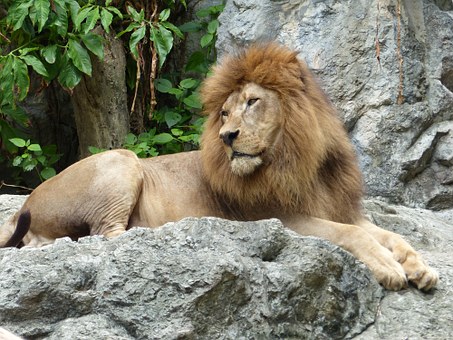 Top Honeymoon Destinations 2010 List