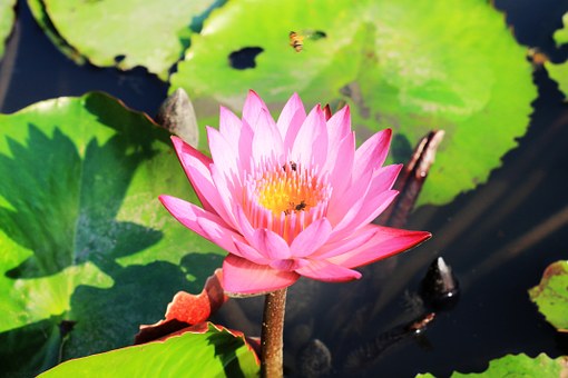 4 Tips To Travel Safely In Cambodia