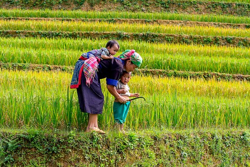 The Best Time For Vietnam Vacations by:Tom Nguyen