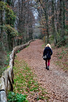 Best Life Insurance - Read About It