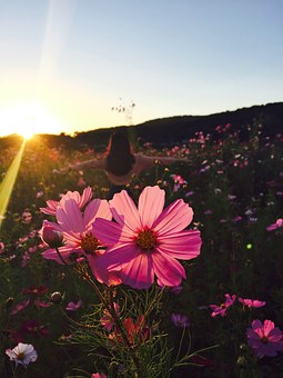 Share the positive thoughts to propagate prosperity in your and everyone's Life